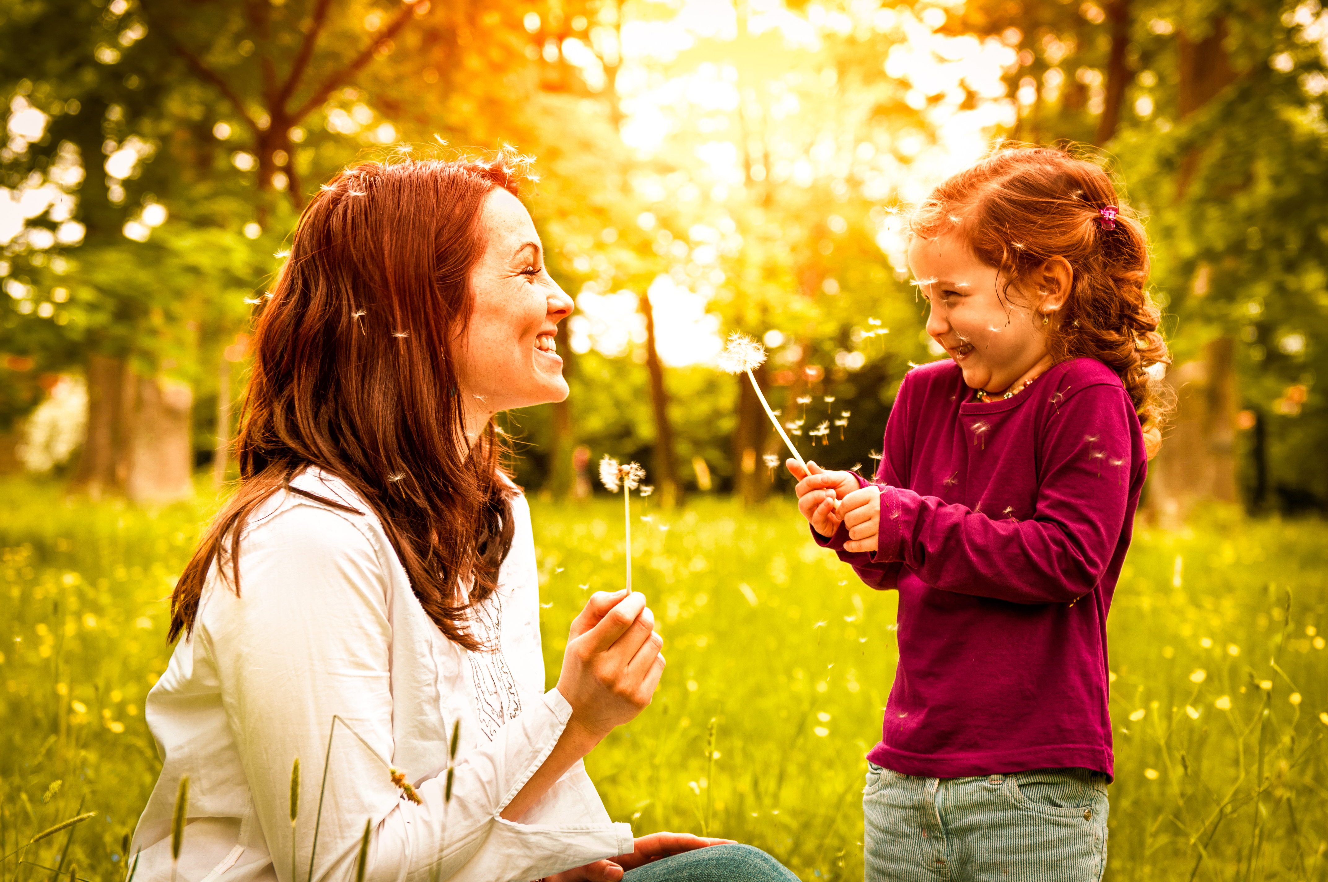 Celebrate Mother’s Day 2025 in the Lockyer Valley: A Heartfelt Guide